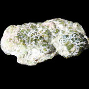 Green Garnet from Pakistan crystal cluster 67*35*25mm 89g in sunlight - Rocks and Things Store