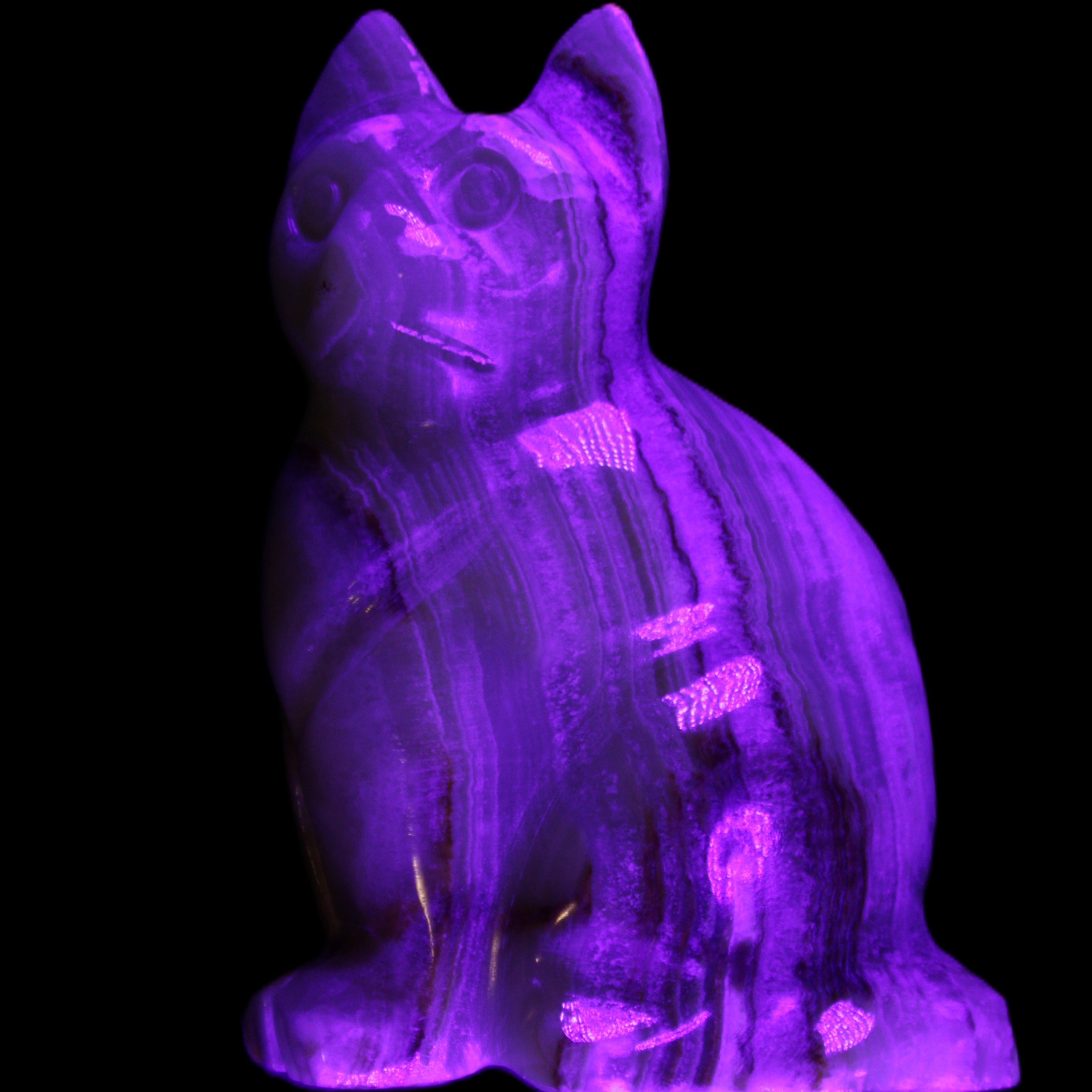 Afghan Jade hand-carved Cat 80*46*103mm 540g in UV light - Rocks and Things Store