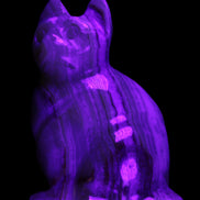 Afghan Jade hand-carved Cat 80*46*103mm 540g in UV light - Rocks and Things Store