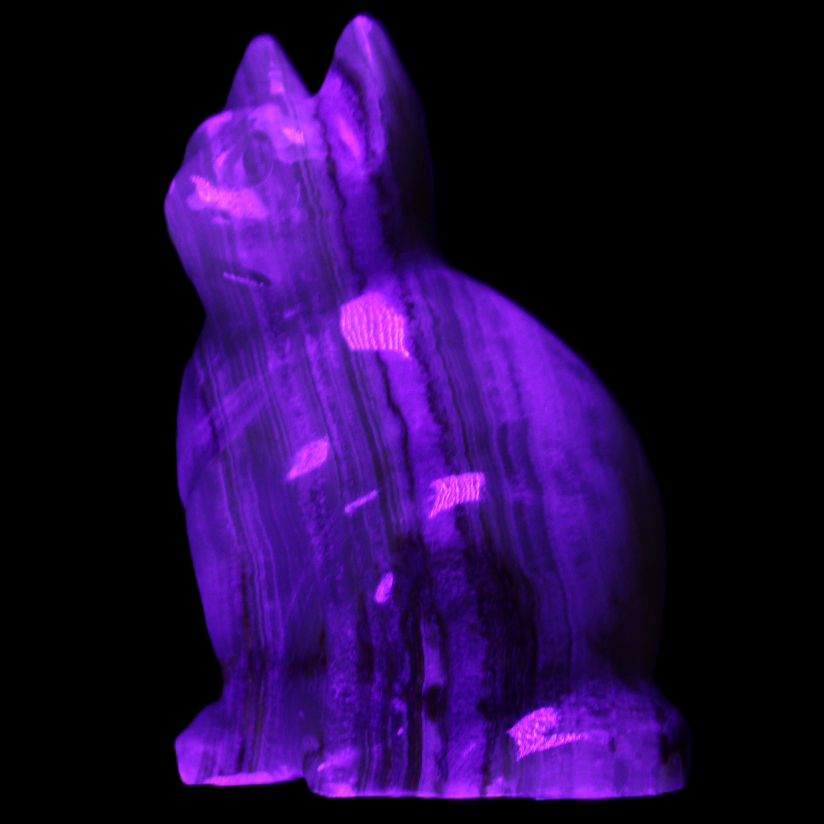 Afghan Jade hand-carved Cat 80*46*103mm 540g in UV light - Rocks and Things Store