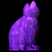 Afghan Jade hand-carved Cat 80*46*103mm 540g in UV light - Rocks and Things Store