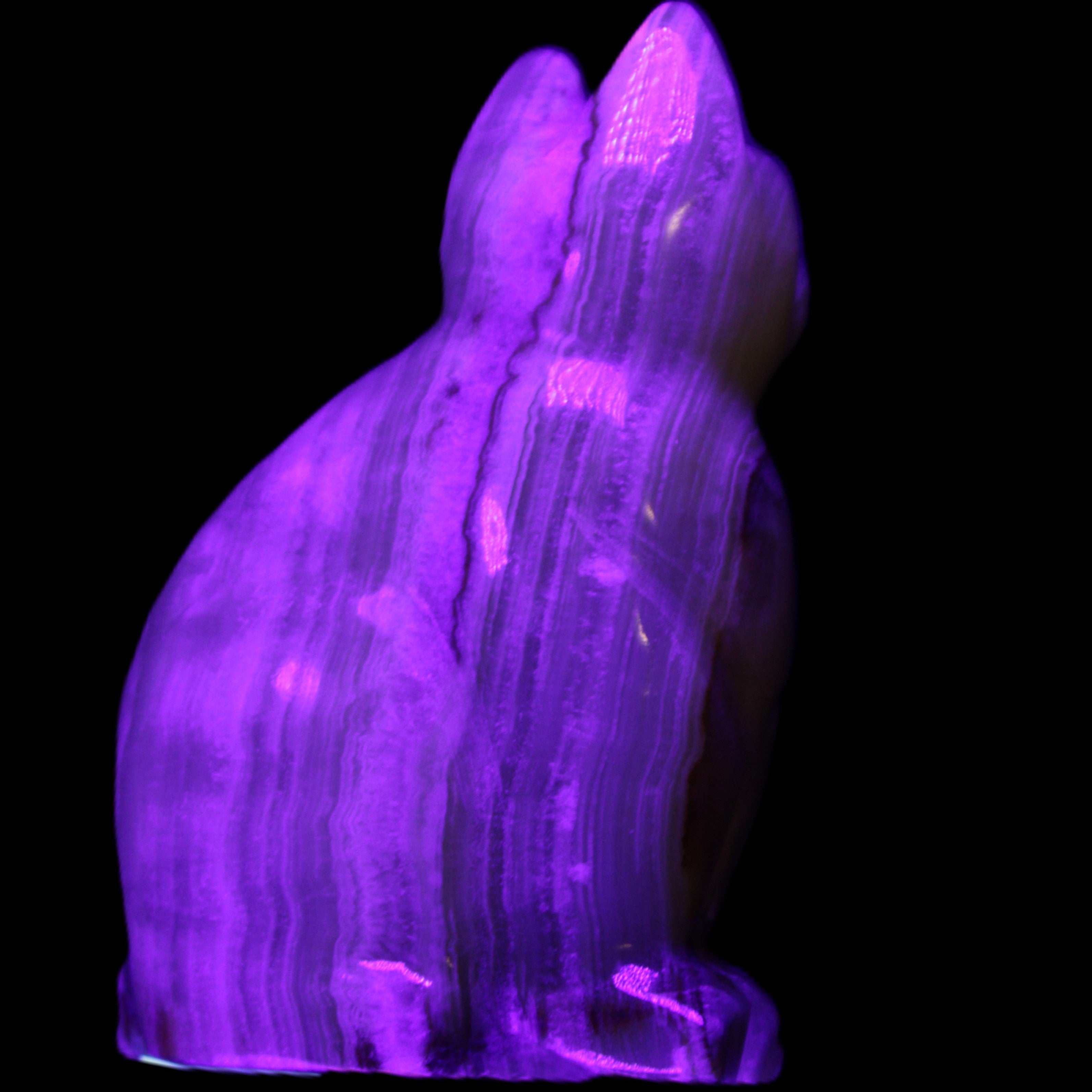Afghan Jade hand-carved Cat 80*46*103mm 540g in UV light - Rocks and Things Store