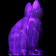Afghan Jade hand-carved Cat 80*46*103mm 540g in UV light - Rocks and Things Store