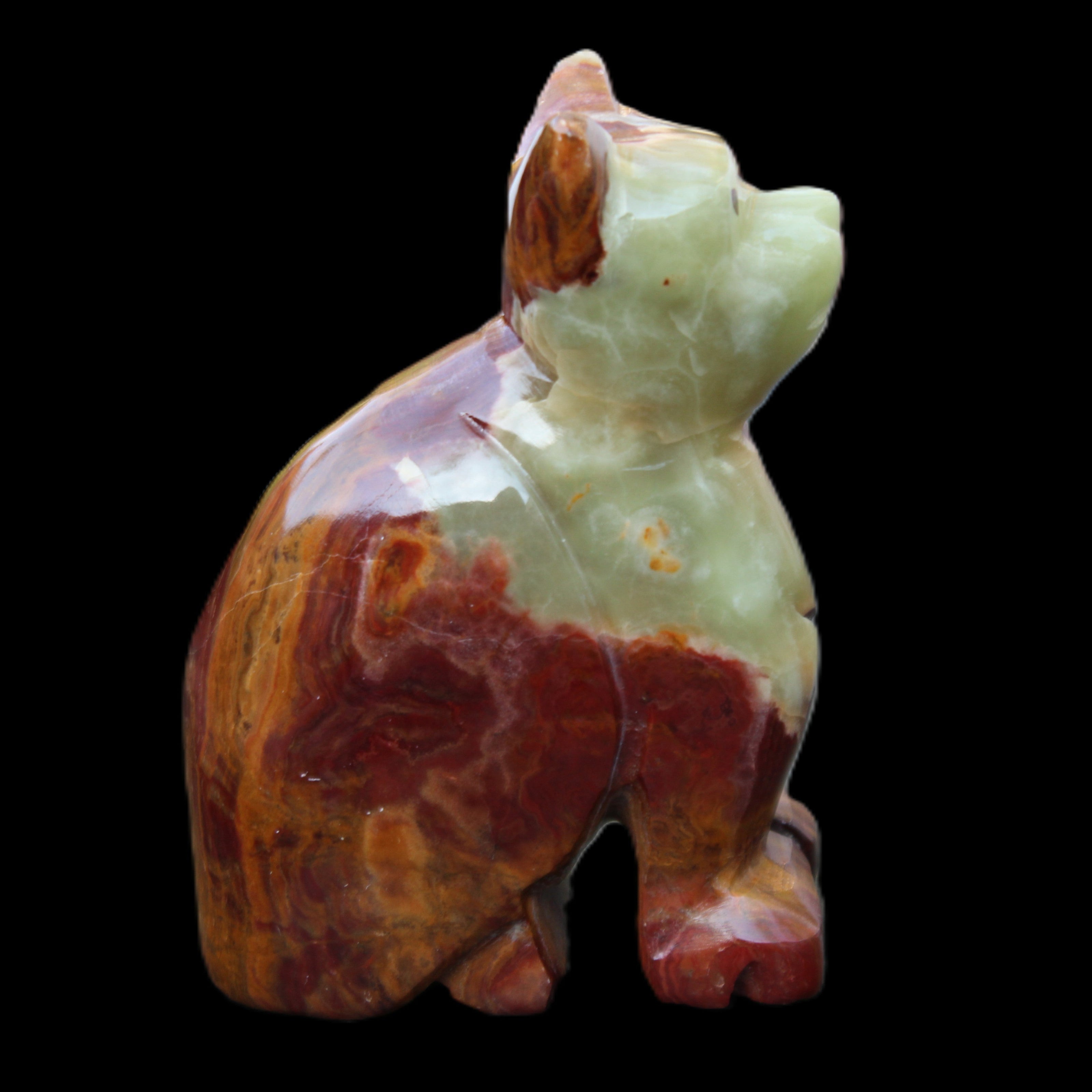 Afghan Jade hand-carved Cat 70*38*100mm 416g in sunlight - Rocks and Things Store
