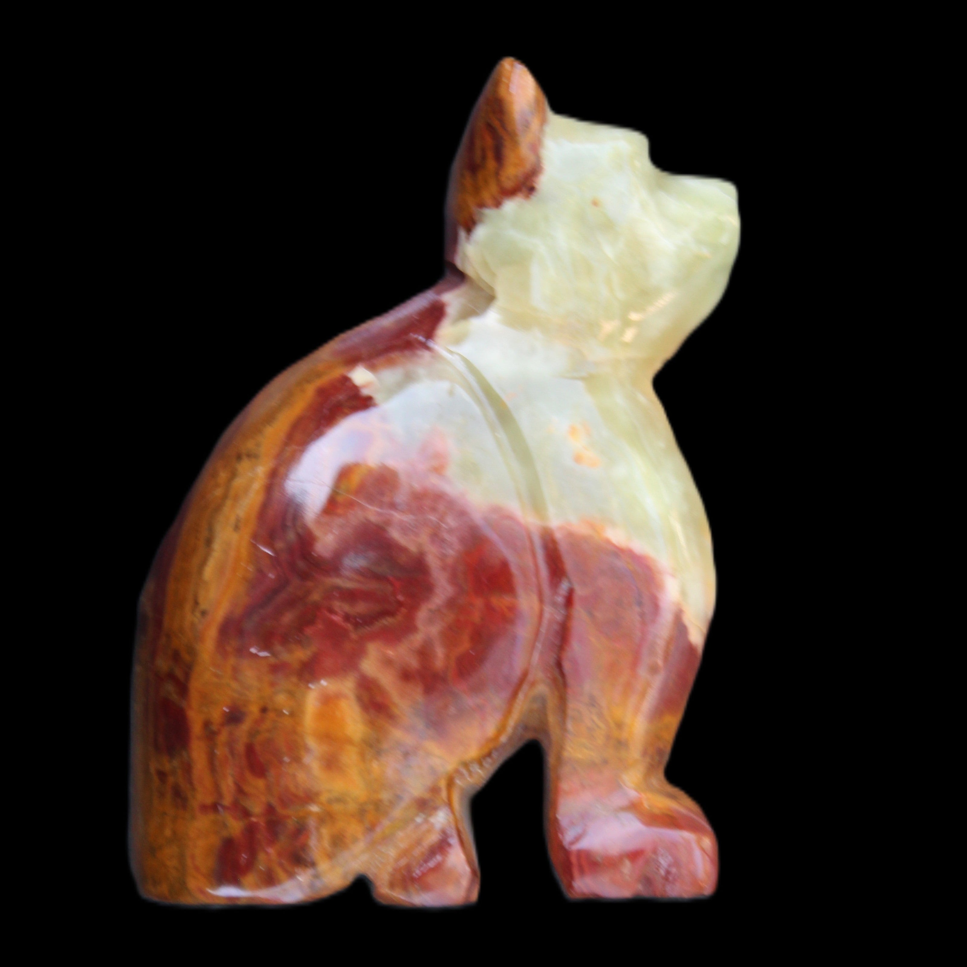 Afghan Jade hand-carved Cat 70*38*100mm 416g in sunlight - Rocks and Things Store