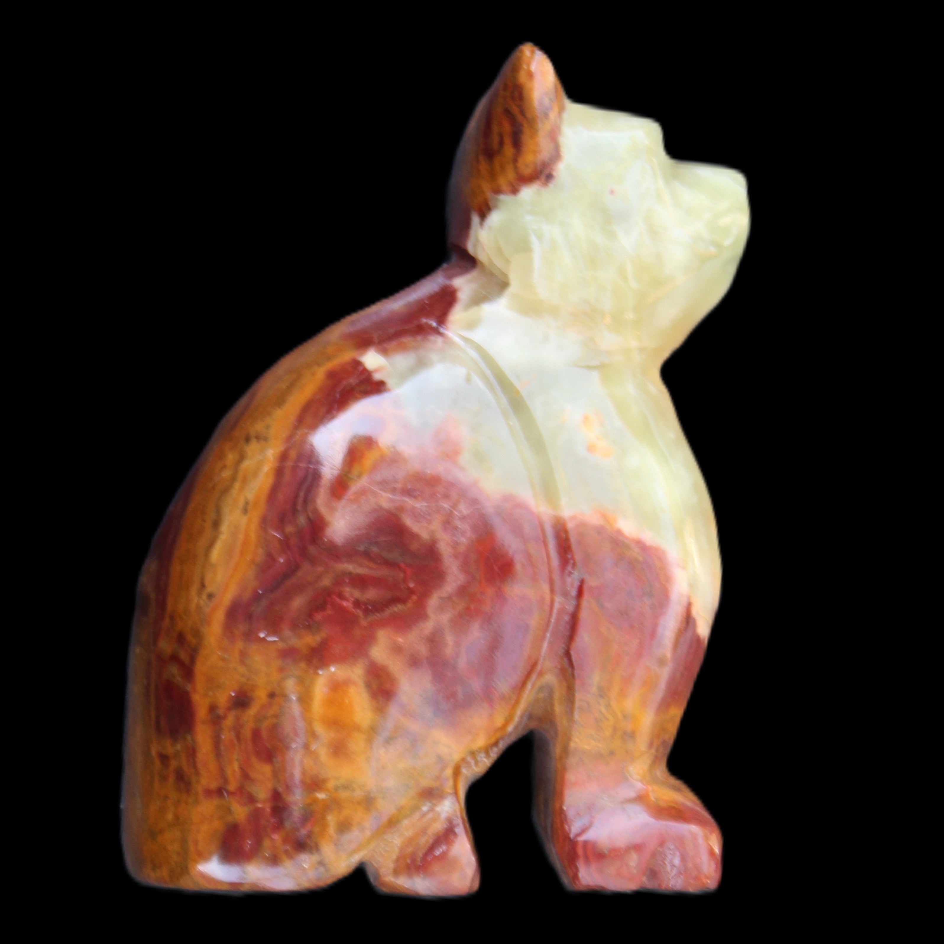 Afghan Jade hand-carved Cat 70*38*100mm 416g in sunlight - Rocks and Things Store
