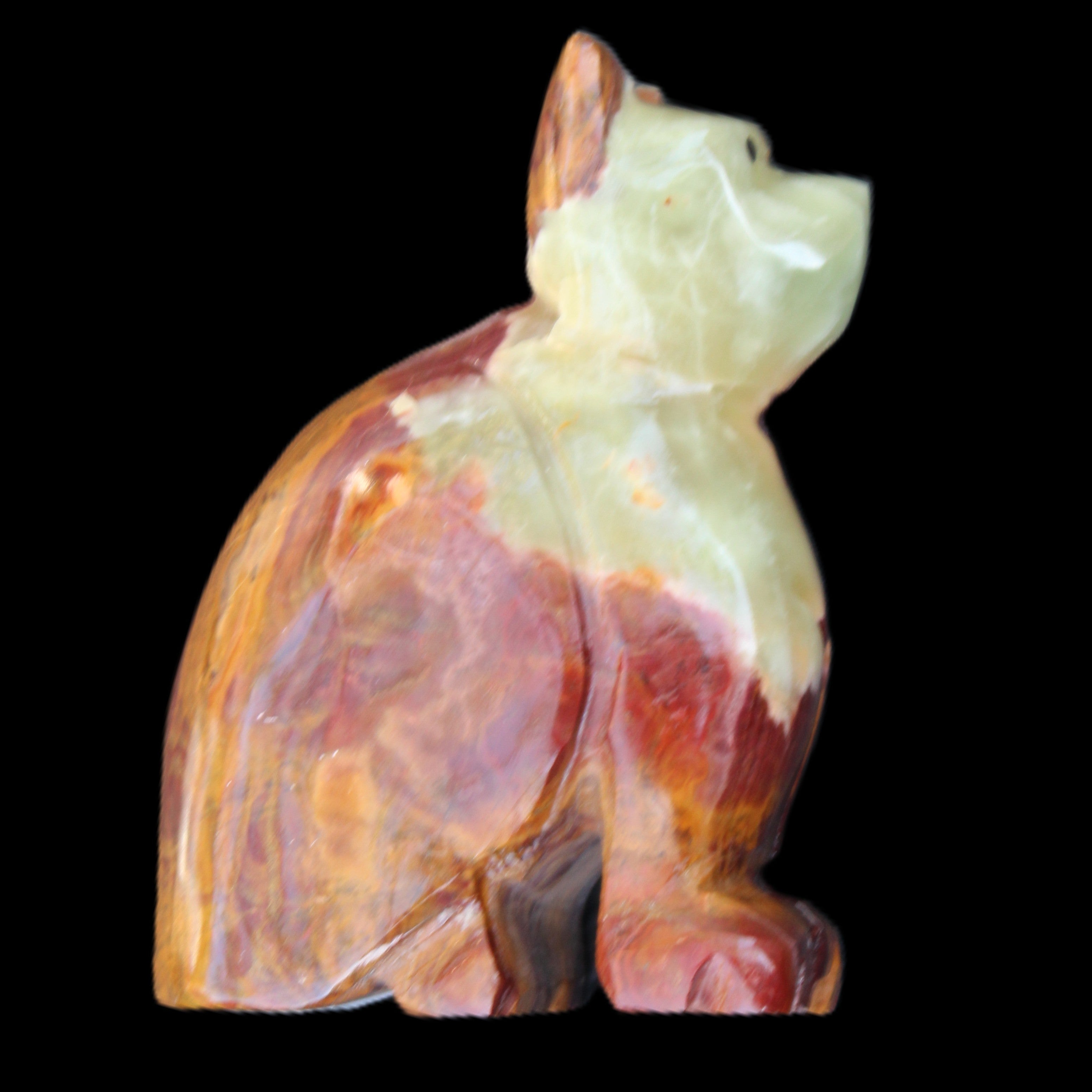 Afghan Jade hand-carved Cat 70*38*100mm 416g in sunlight - Rocks and Things Store