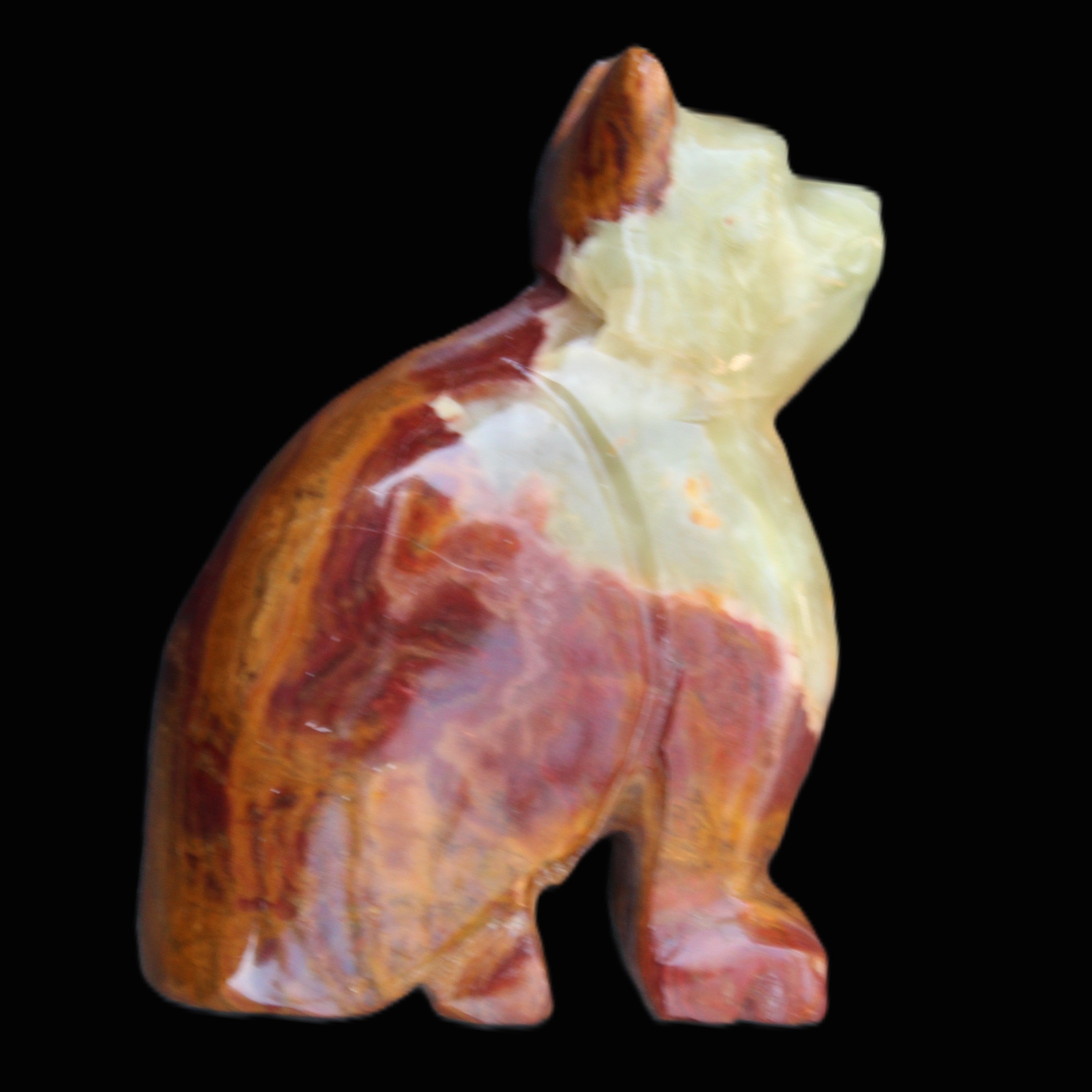 Afghan Jade hand-carved Cat 70*38*100mm 416g in sunlight - Rocks and Things Store