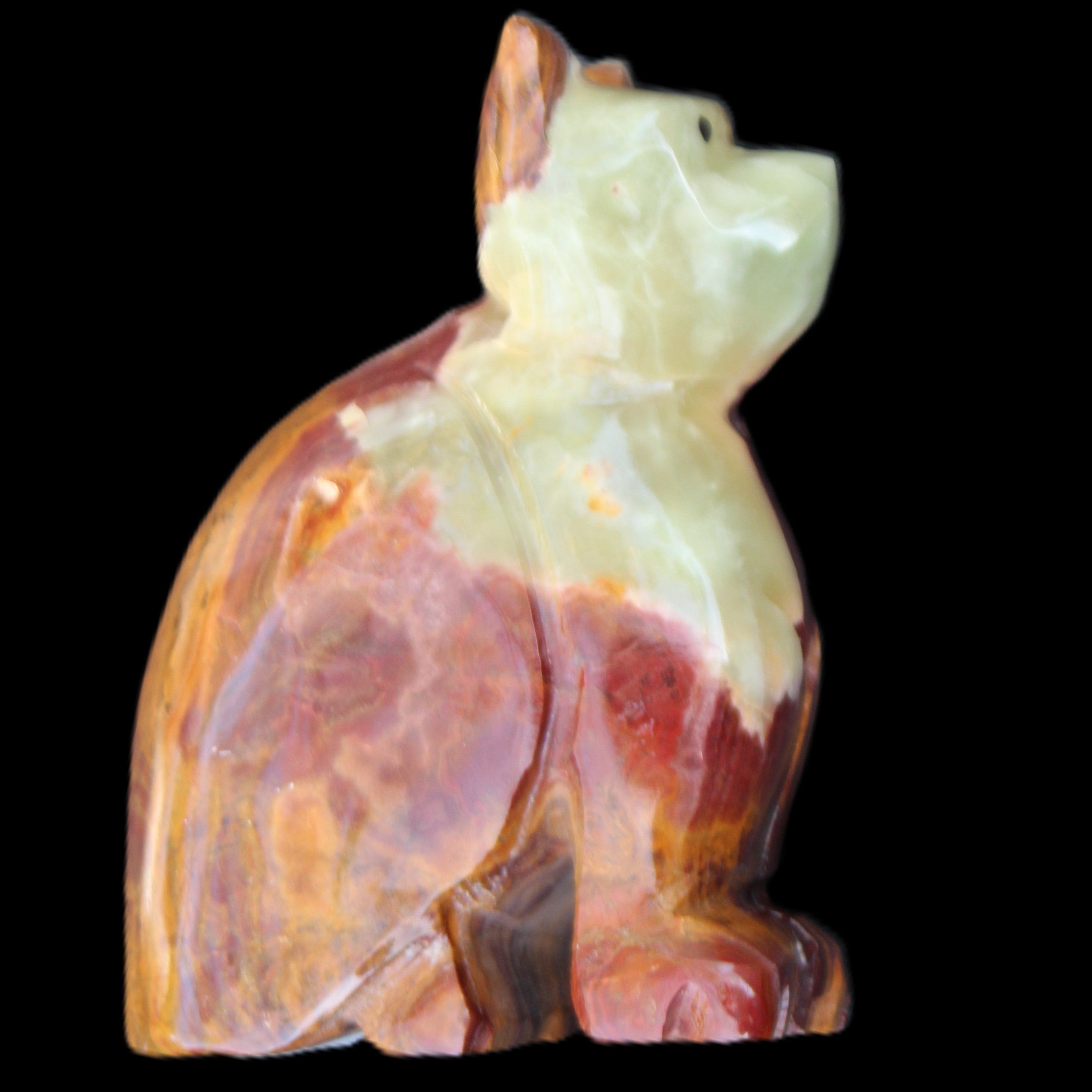 Afghan Jade hand-carved Cat 70*38*100mm 416g in sunlight - Rocks and Things Store