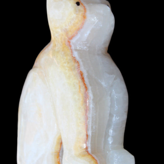 Afghan Jade hand-carved Cat 66*35*98mm 385g in sunlight - Rocks and Things Store