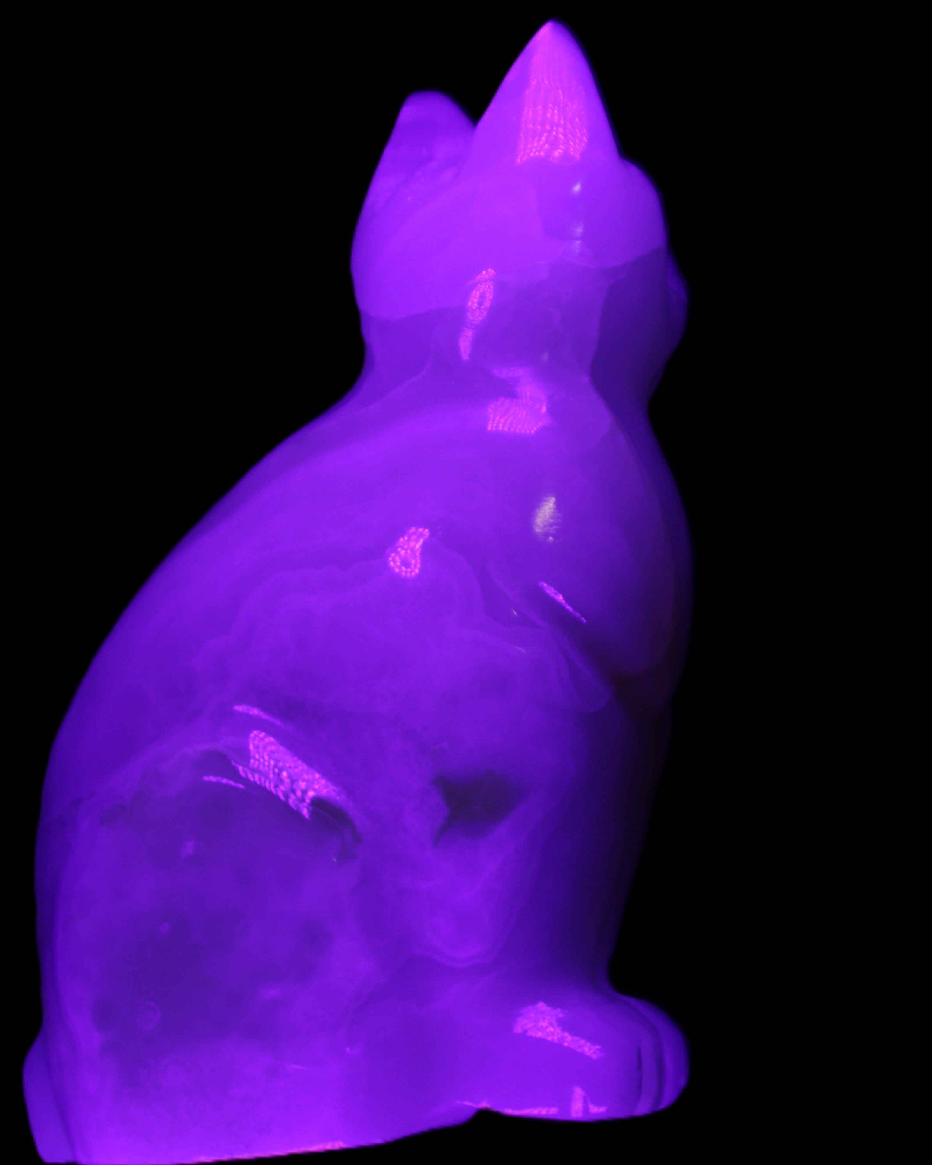 White Onyx Afghan Jade hand-carved Cat 87*48*138mm 773g in UV light - Rocks and Things Store