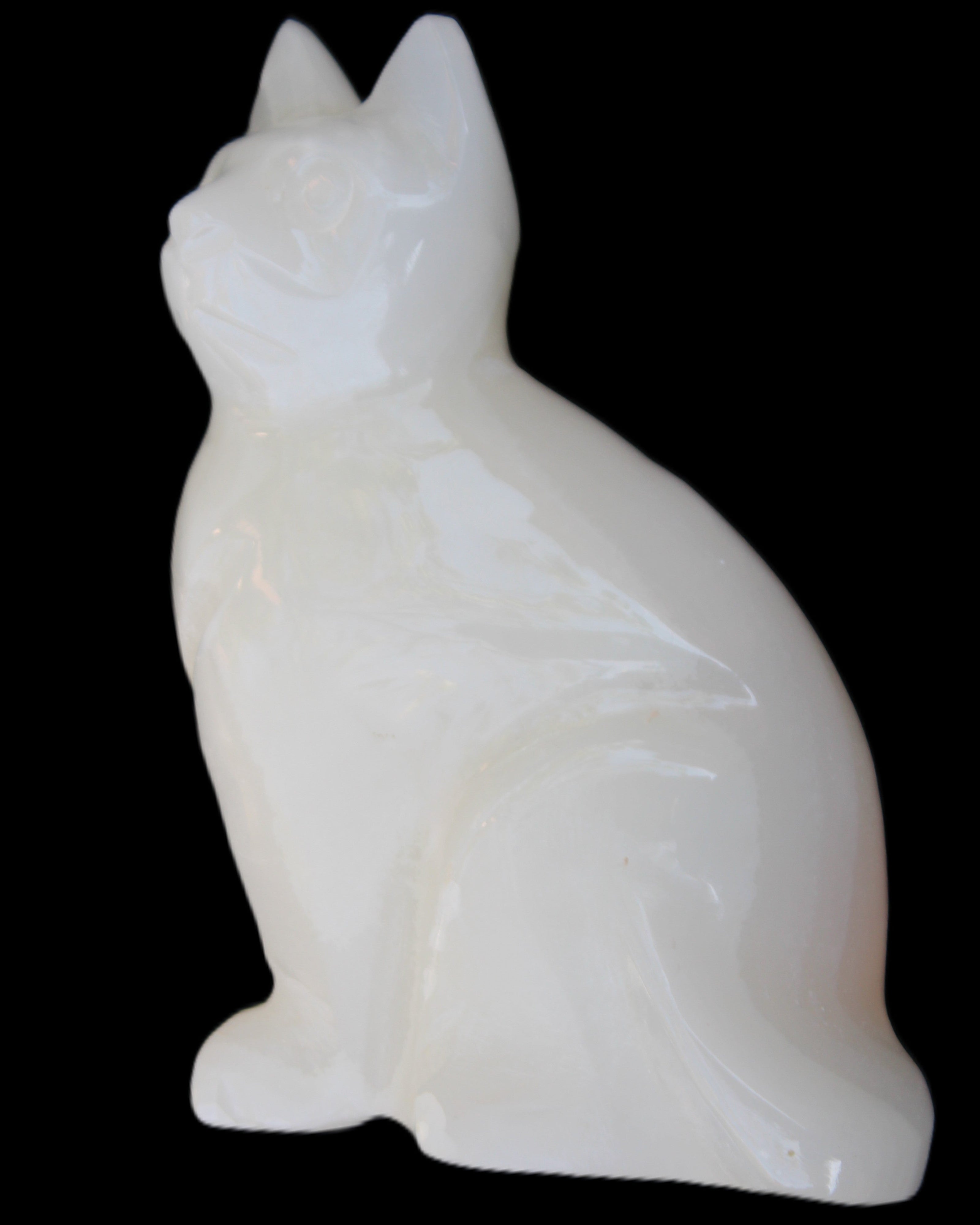 White Onyx Afghan Jade hand-carved Cat 87*48*138mm 773g in sunlight - Rocks and Things Store