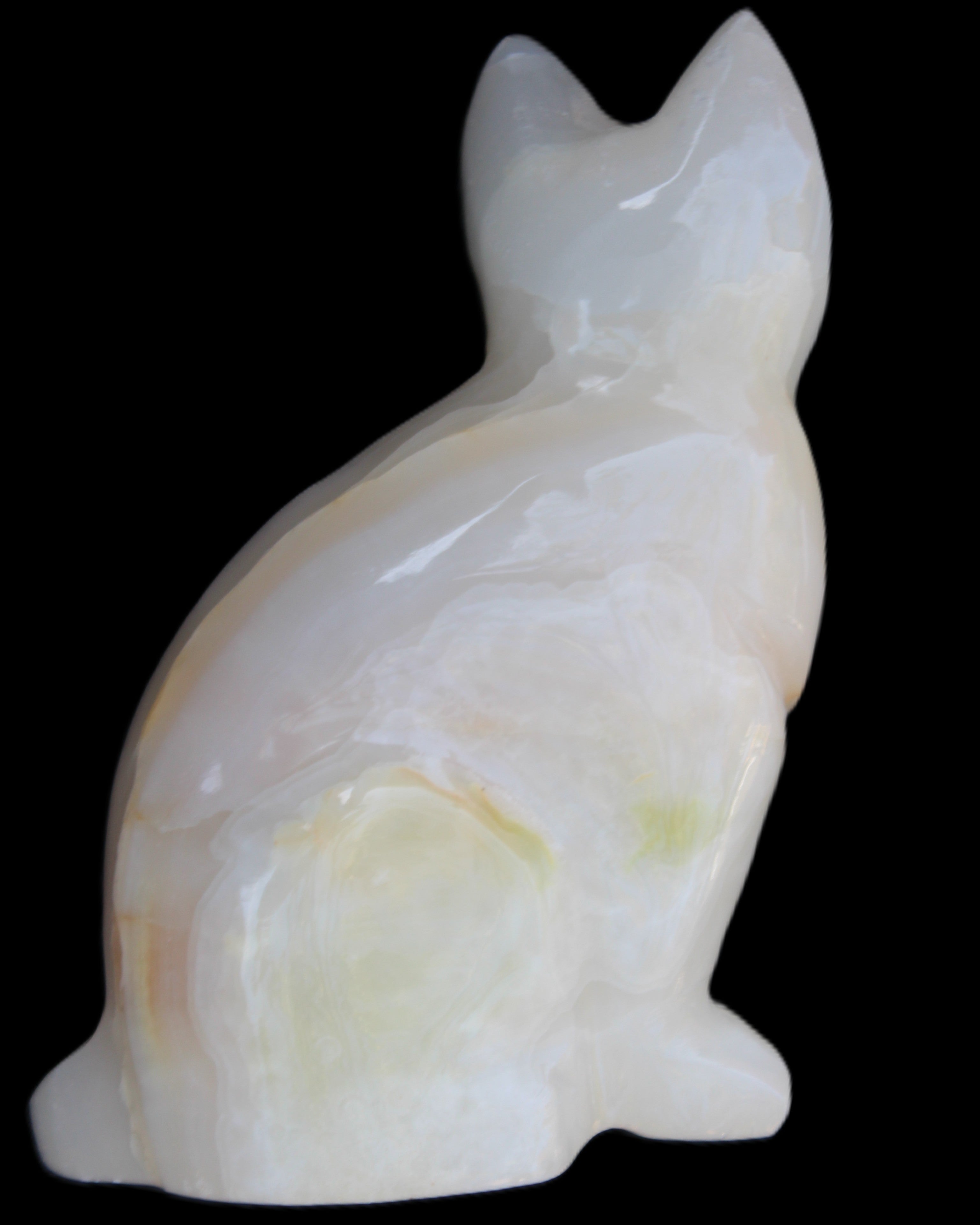 White Onyx Afghan Jade hand-carved Cat 87*48*138mm 773g in sunlight - Rocks and Things Store