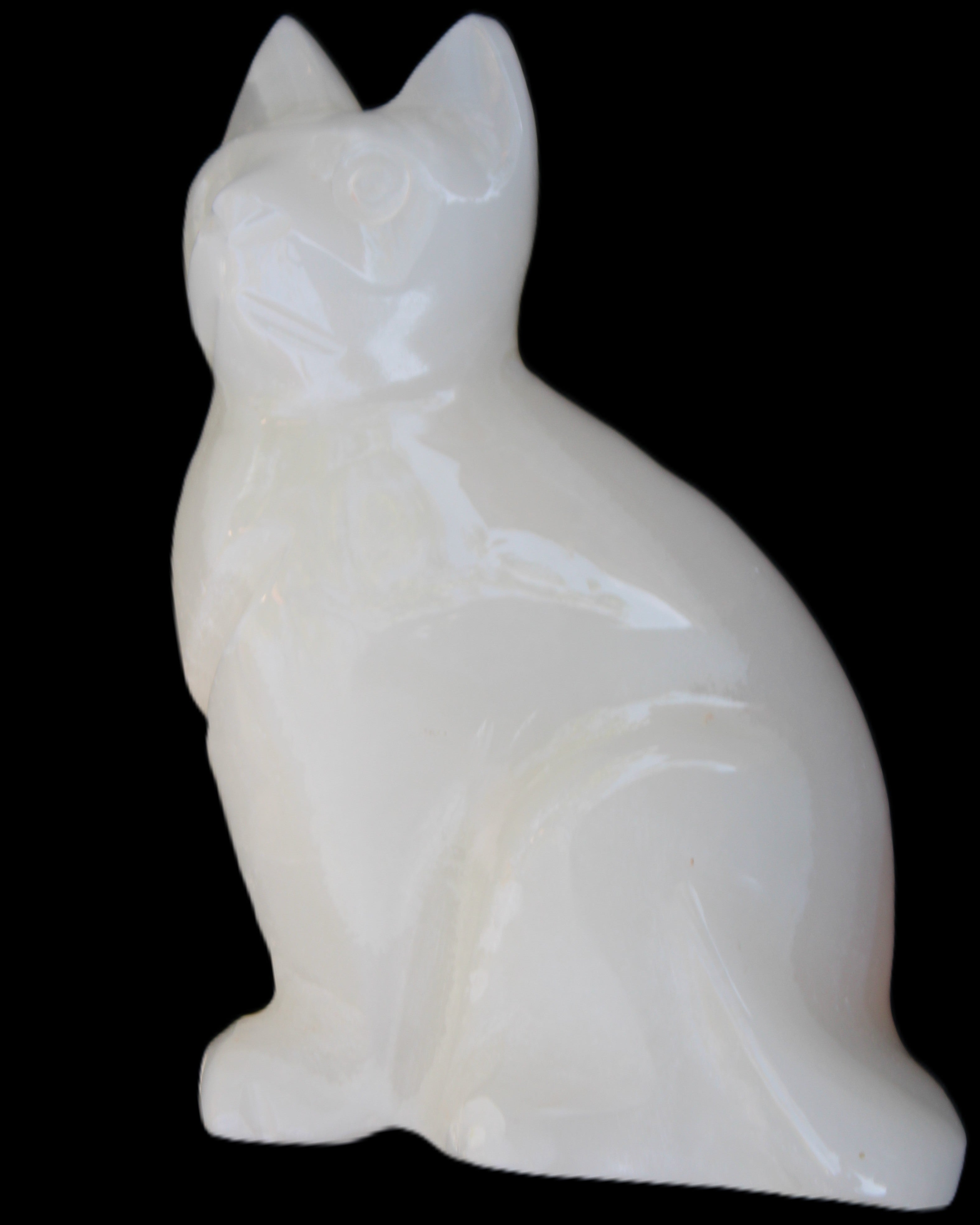 White Onyx Afghan Jade hand-carved Cat 87*48*138mm 773g in sunlight - Rocks and Things Store