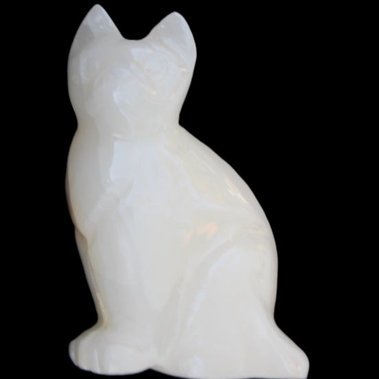 White Onyx Afghan Jade hand-carved Cat 87*48*138mm 773g in sunlight - Rocks and Things Store