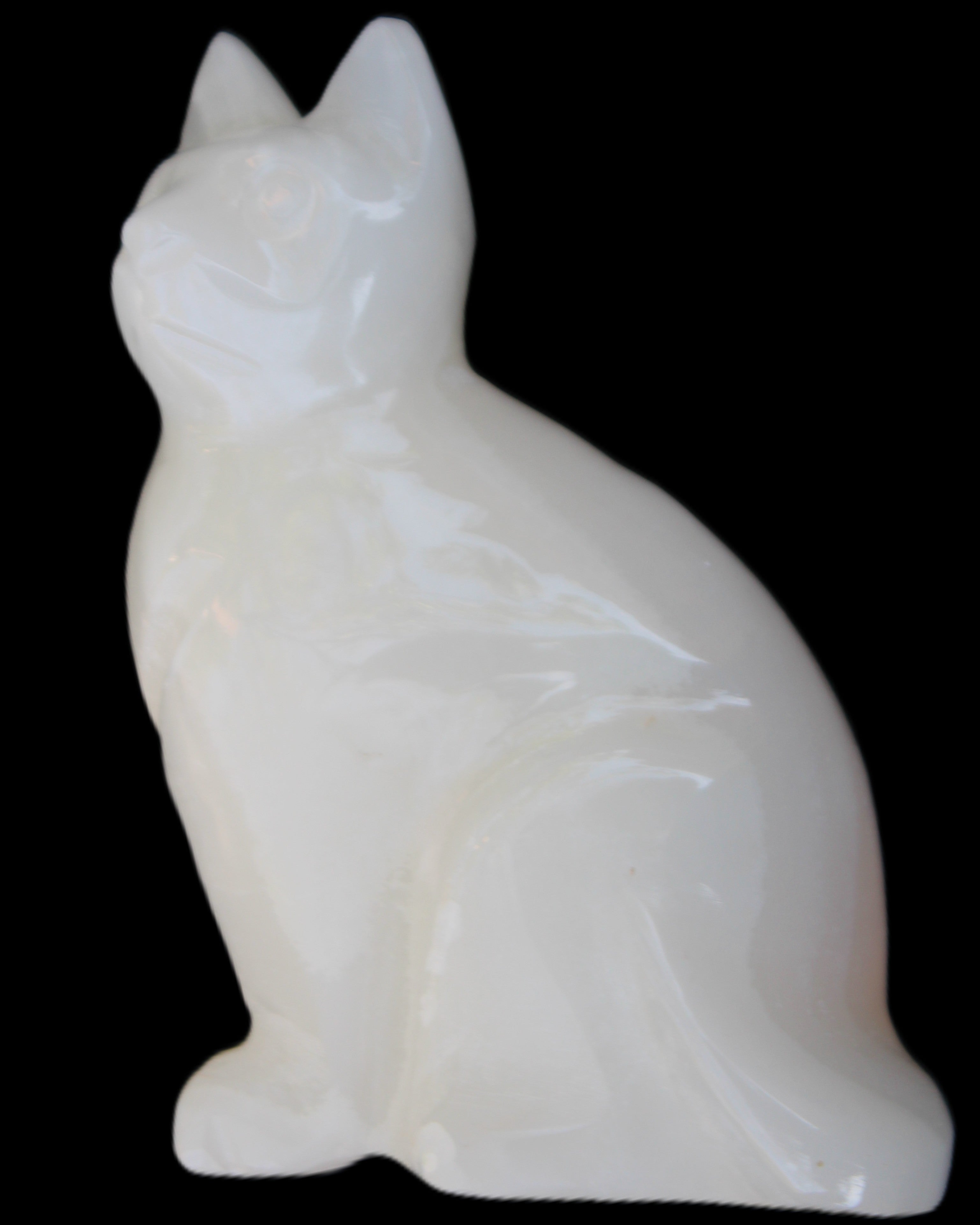 White Onyx Afghan Jade hand-carved Cat 87*48*138mm 773g in sunlight - Rocks and Things Store