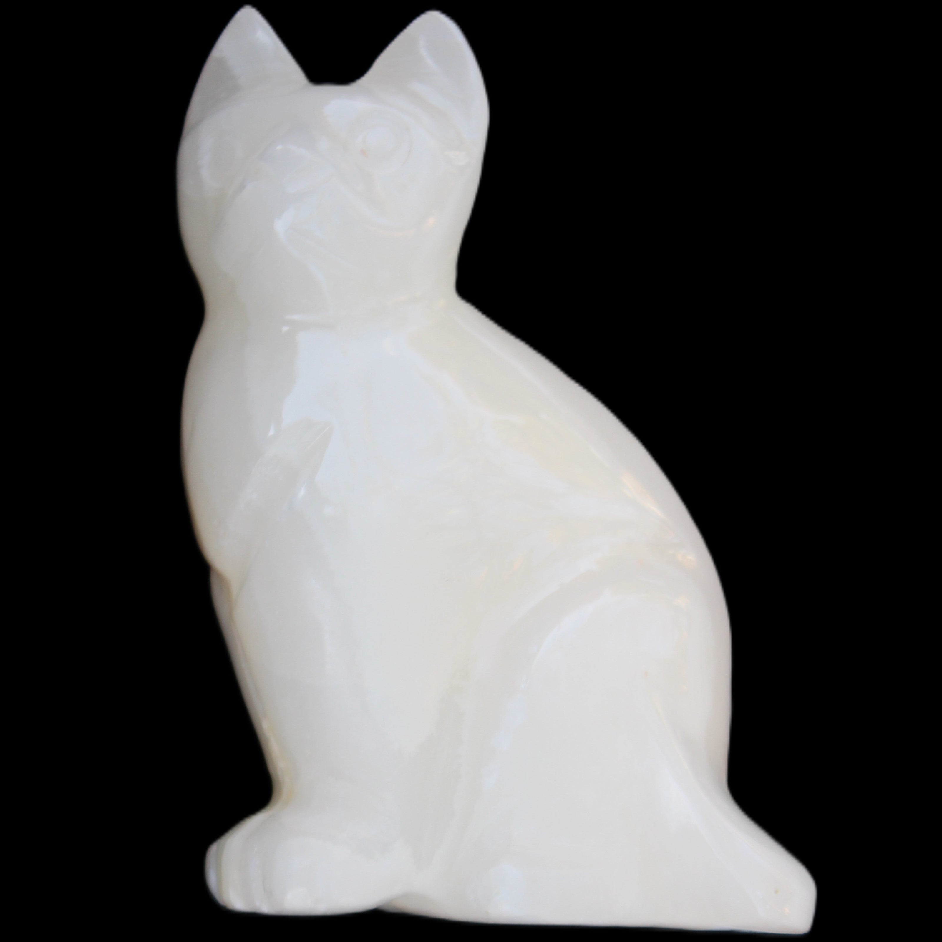 White Onyx Afghan Jade hand-carved Cat 87*48*138mm 773g in sunlight - Rocks and Things Store