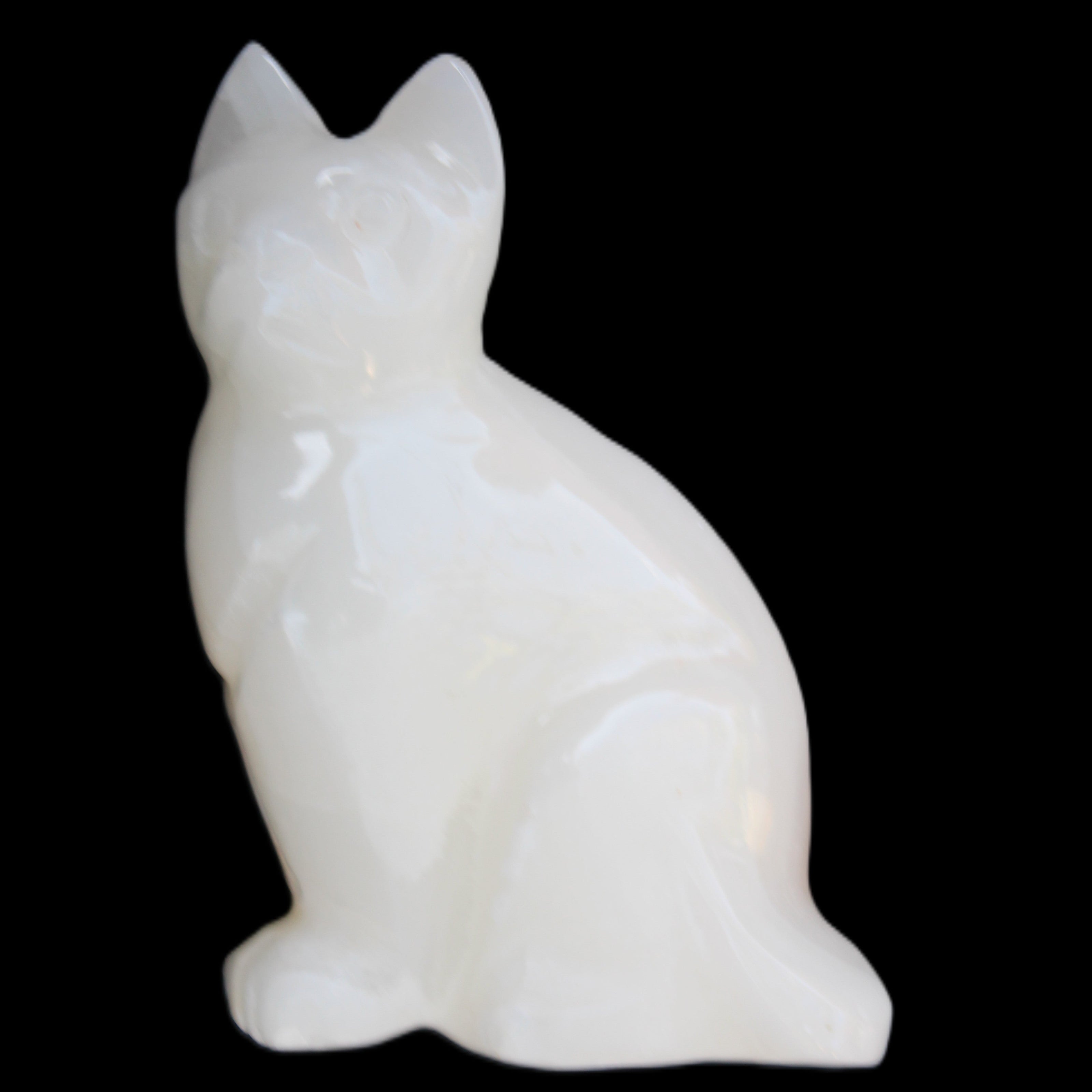 White Onyx Afghan Jade hand-carved Cat 87*48*138mm 773g in sunlight - Rocks and Things Store