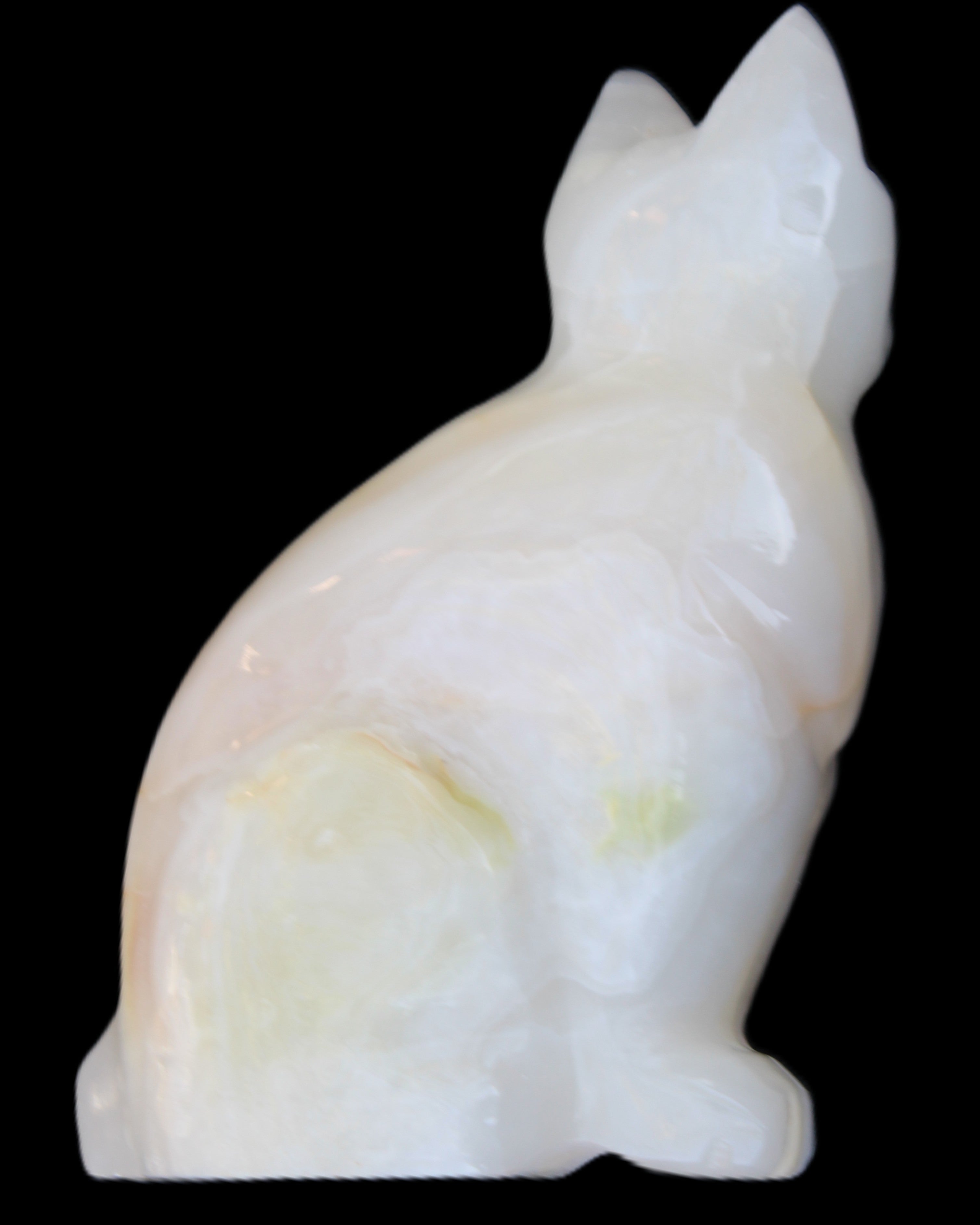 White Onyx Afghan Jade hand-carved Cat 87*48*138mm 773g in sunlight - Rocks and Things Store