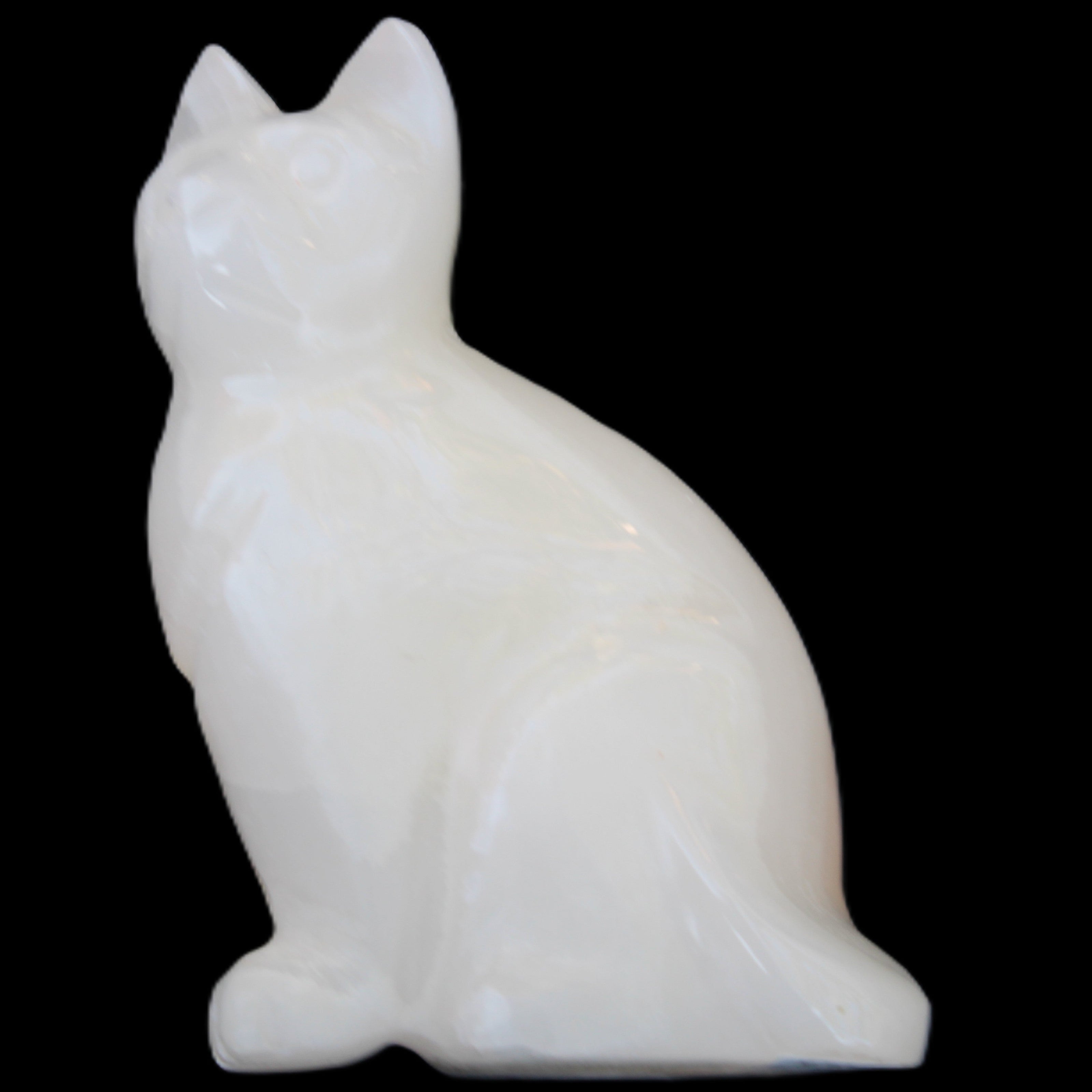 White Onyx Afghan Jade hand-carved Cat 87*48*138mm 773g in sunlight - Rocks and Things Store