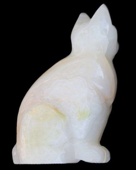 White Onyx Afghan Jade hand-carved Cat 87*48*138mm 773g in sunlight - Rocks and Things Store
