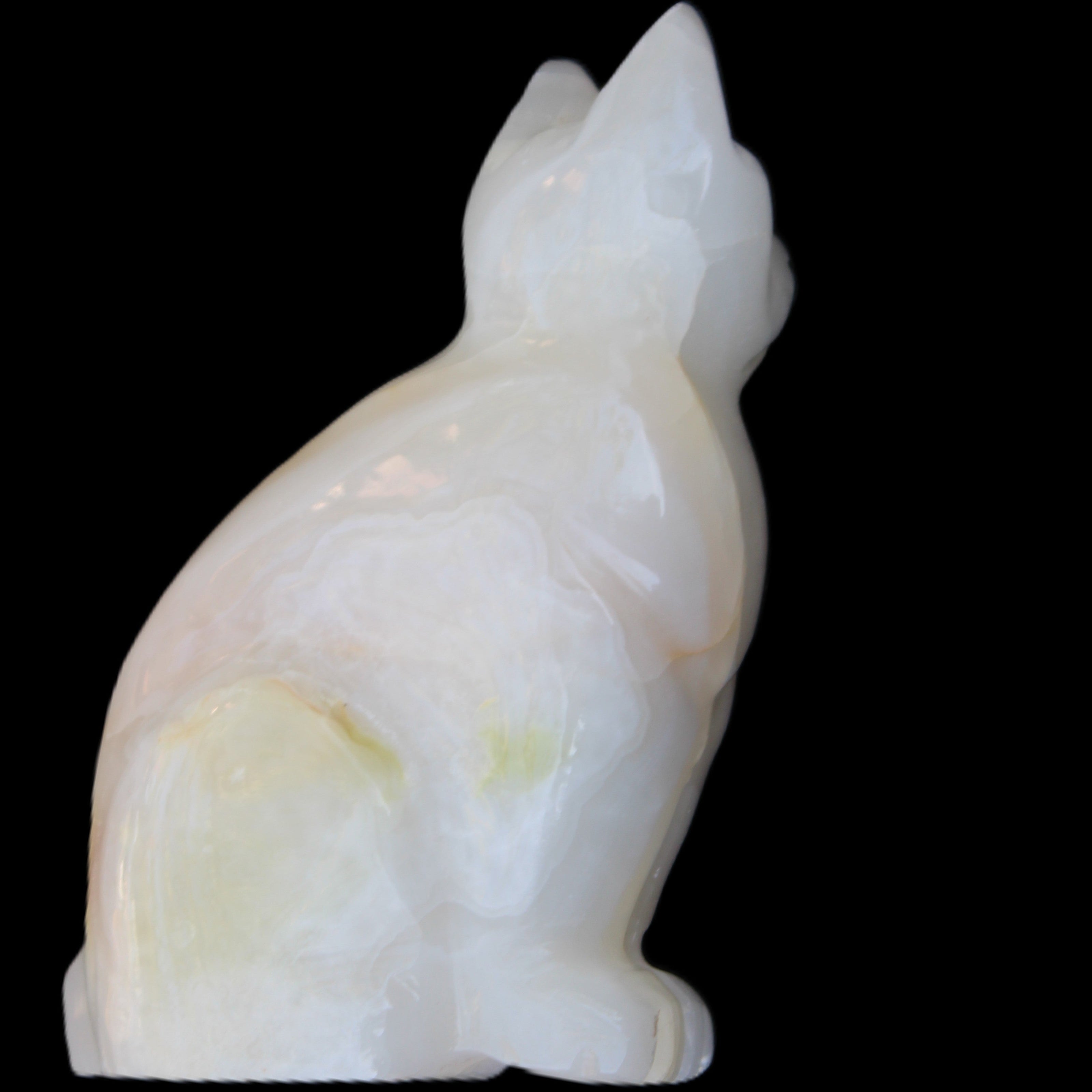 White Onyx Afghan Jade hand-carved Cat 87*48*138mm 773g in sunlight - Rocks and Things Store