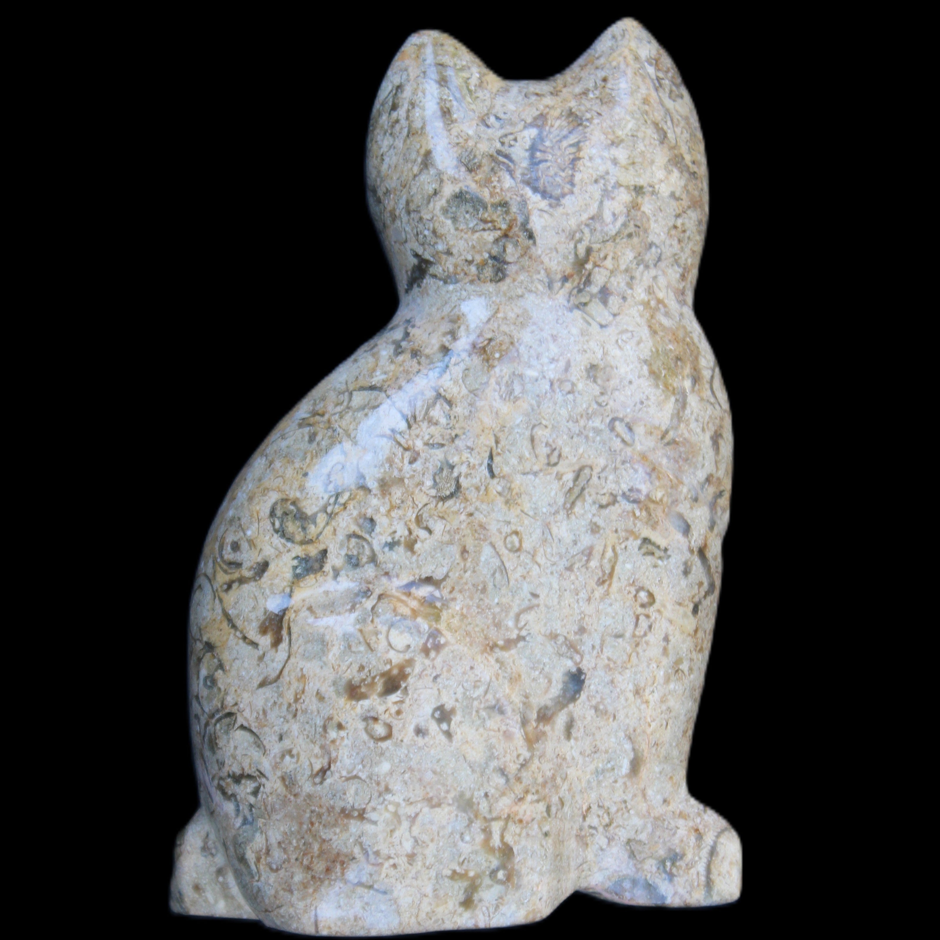 Fossil rock hand-carved Cat 76*48*124mm 407g in sunlight - Rocks and Things Store