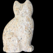 Fossil rock hand-carved Cat 76*48*124mm 407g in sunlight - Rocks and Things Store