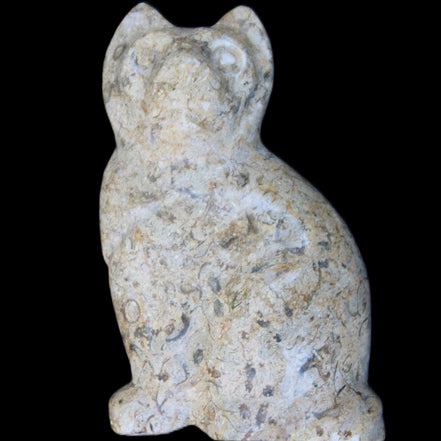 Fossil rock hand-carved Cat 76*48*124mm 407g in sunlight - Rocks and Things Store