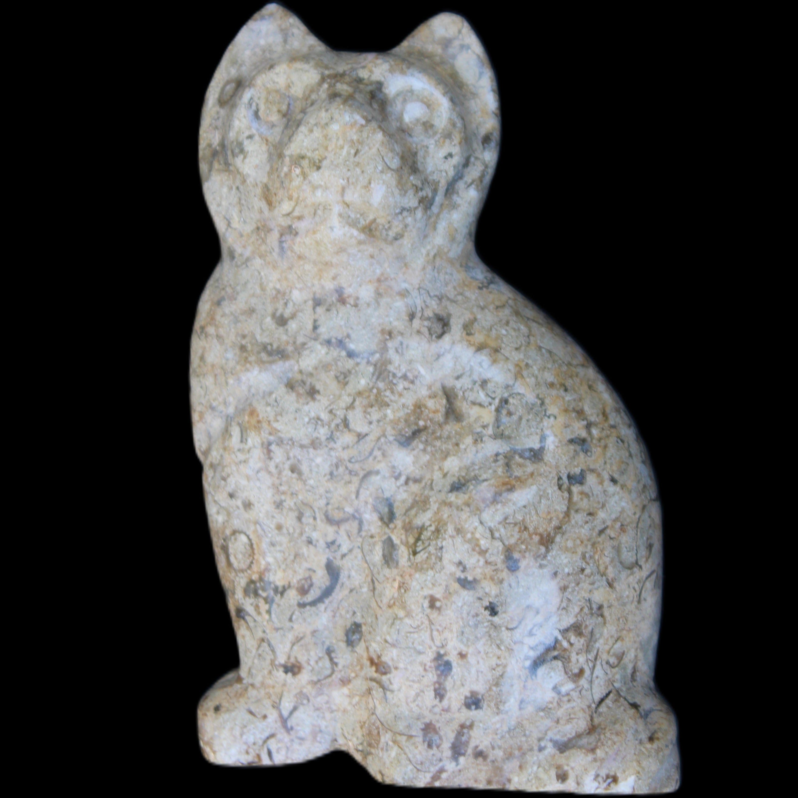 Fossil rock hand-carved Cat 76*48*124mm 407g in sunlight - Rocks and Things Store