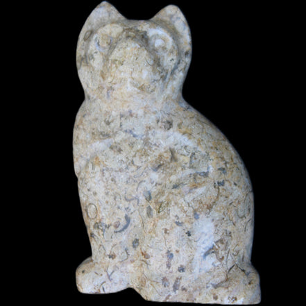 Fossil rock hand-carved Cat 76*48*124mm 407g in sunlight - Rocks and Things Store