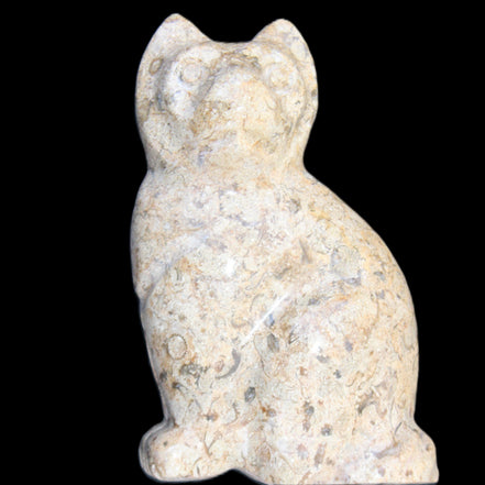 Fossil rock hand-carved Cat 76*48*124mm 407g in sunlight - Rocks and Things Store