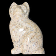 Fossil rock hand-carved Cat 76*48*124mm 407g in sunlight - Rocks and Things Store