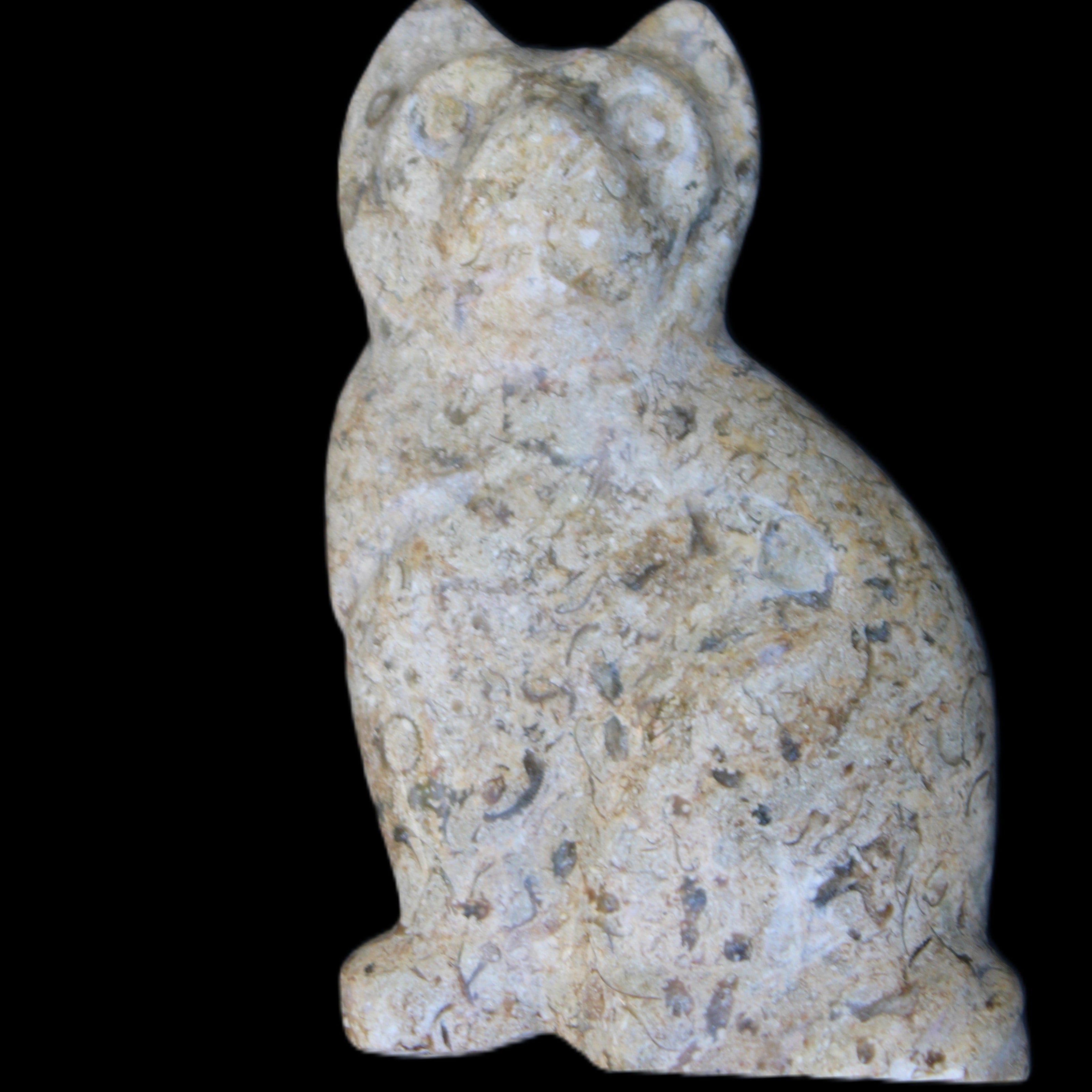 Fossil rock hand-carved Cat 76*48*124mm 407g in sunlight - Rocks and Things Store