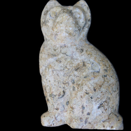 Fossil rock hand-carved Cat 76*48*124mm 407g in sunlight - Rocks and Things Store