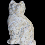 Fossil rock hand-carved Cat 76*48*124mm 407g in sunlight - Rocks and Things Store