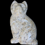 Fossil rock hand-carved Cat 76*48*124mm 407g in sunlight - Rocks and Things Store
