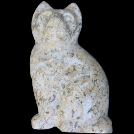 Fossil rock hand-carved Cat 76*48*124mm 407g in sunlight - Rocks and Things Store