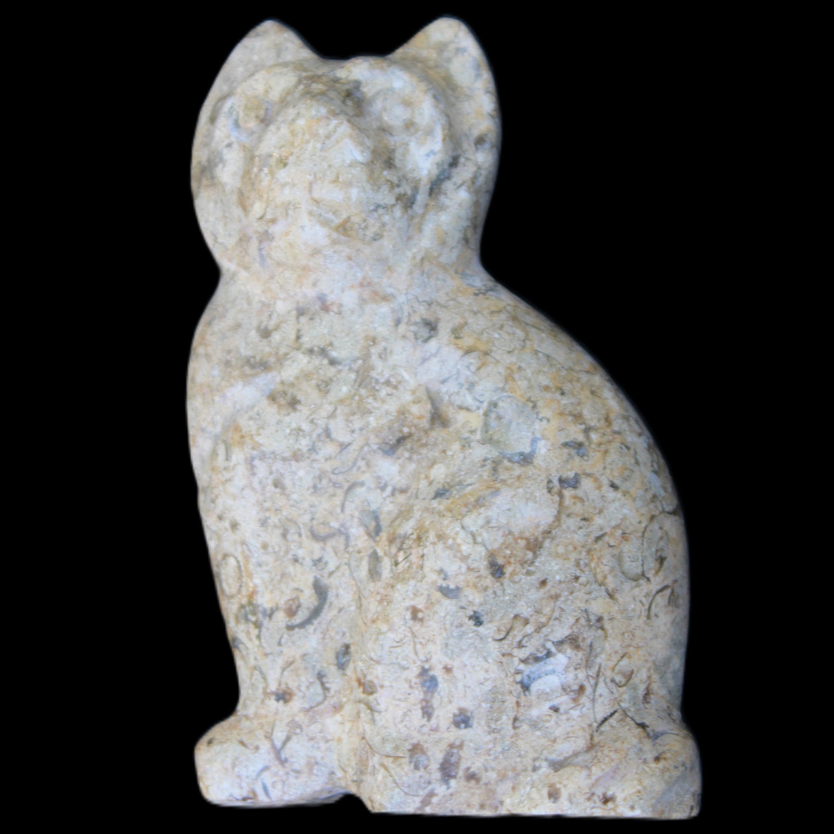 Fossil rock hand-carved Cat 76*48*124mm 407g in sunlight - Rocks and Things Store