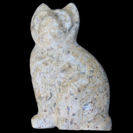 Fossil rock hand-carved Cat 76*48*124mm 407g in sunlight - Rocks and Things Store