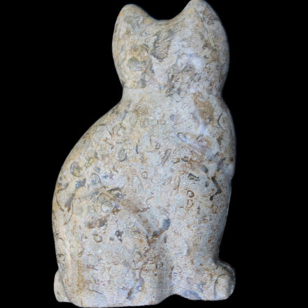 Fossil rock hand-carved Cat 76*48*124mm 407g in sunlight - Rocks and Things Store