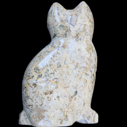 Fossil rock hand-carved Cat 76*48*124mm 407g in sunlight - Rocks and Things Store