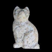Fossil rock hand-carved Cat 76*48*124mm 407g in sunlight - Rocks and Things Store