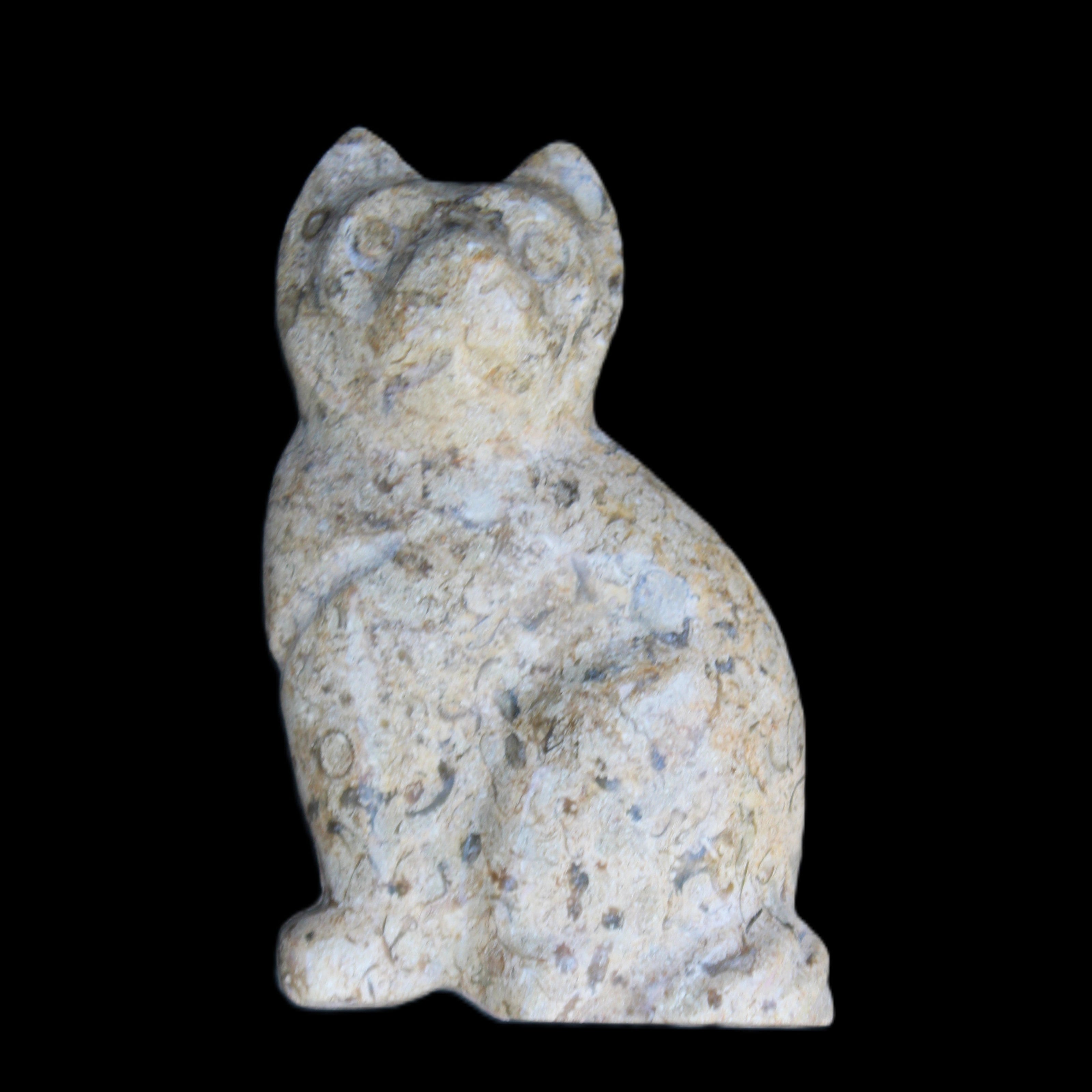 Fossil rock hand-carved Cat 76*48*124mm 407g in sunlight - Rocks and Things Store