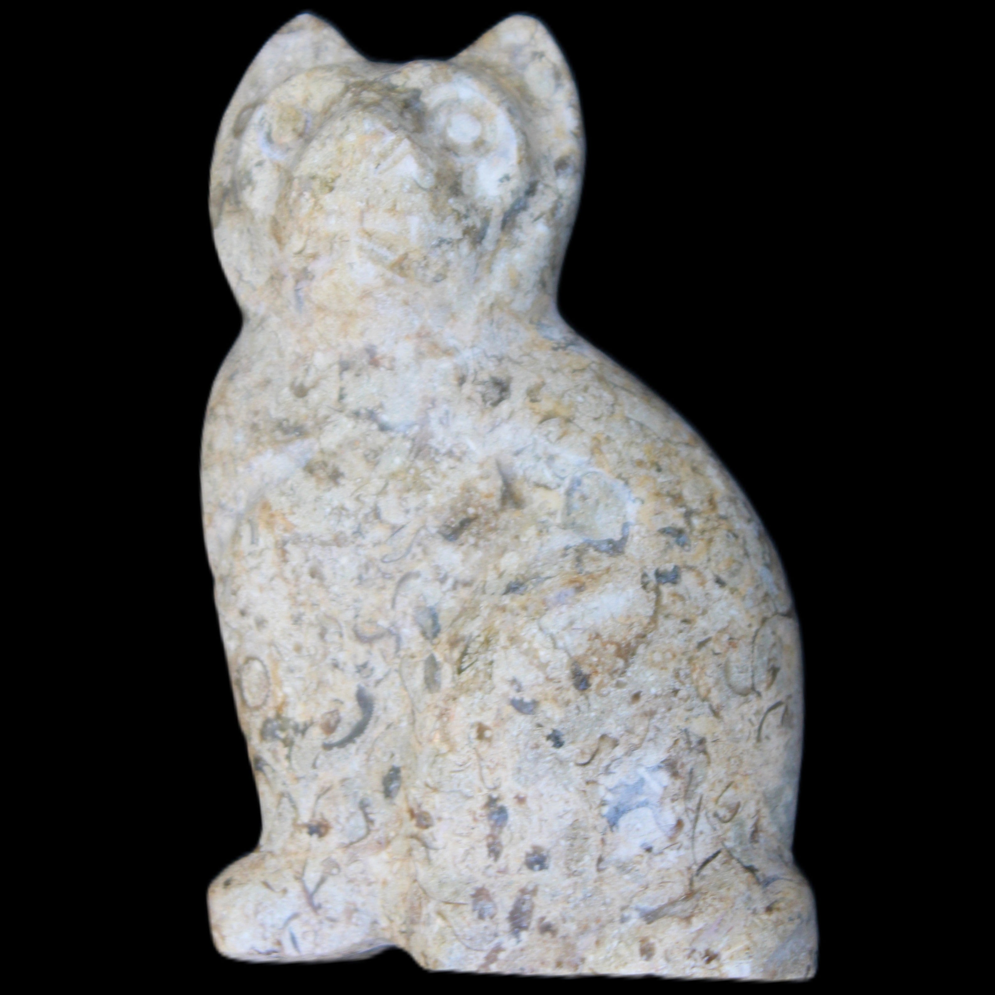 Fossil rock hand-carved Cat 76*48*124mm 407g in sunlight - Rocks and Things Store