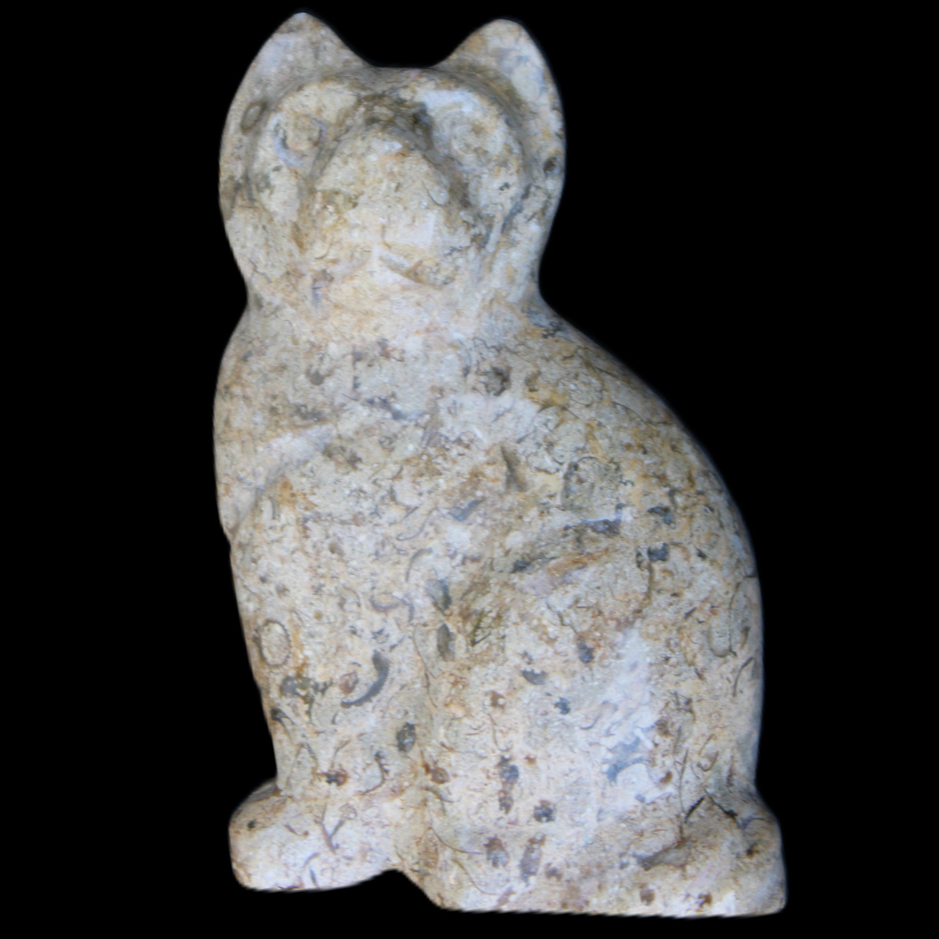 Fossil rock hand-carved Cat 76*48*124mm 407g in sunlight - Rocks and Things Store