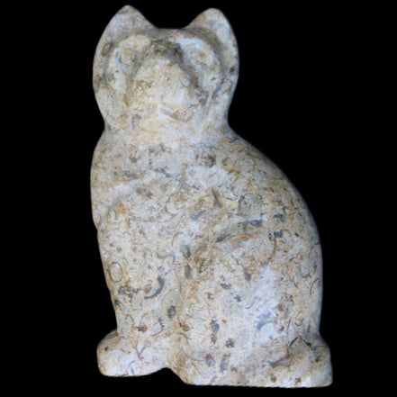 Fossil rock hand-carved Cat 76*48*124mm 407g in sunlight - Rocks and Things Store
