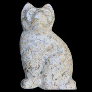 Fossil rock hand-carved Cat 76*48*124mm 407g in sunlight - Rocks and Things Store