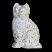 Fossil rock hand-carved Cat 76*48*124mm 407g in sunlight - Rocks and Things Store
