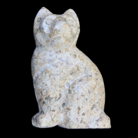 Fossil rock hand-carved Cat 76*48*124mm 407g in sunlight - Rocks and Things Store